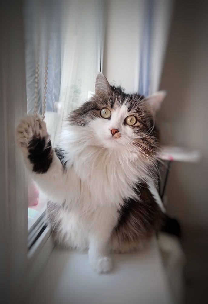 Photograph by Марина