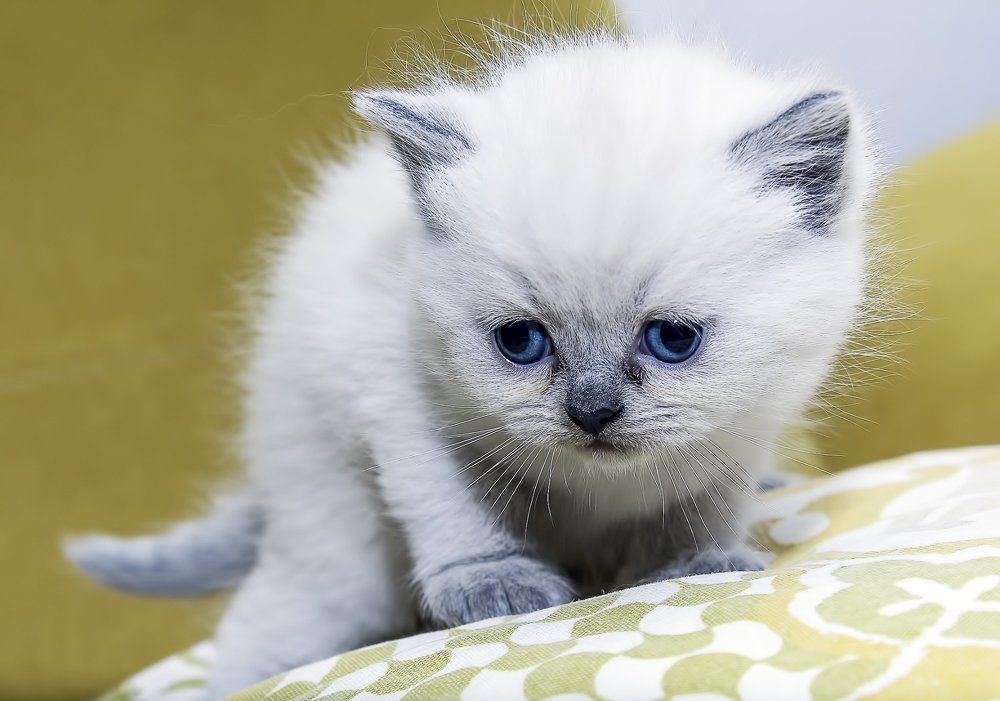 Фотография автора Александр