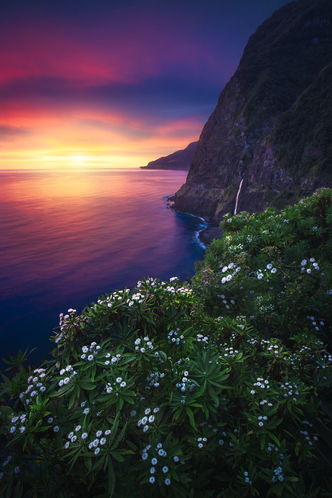 Фотография автора Andrea Bartoli