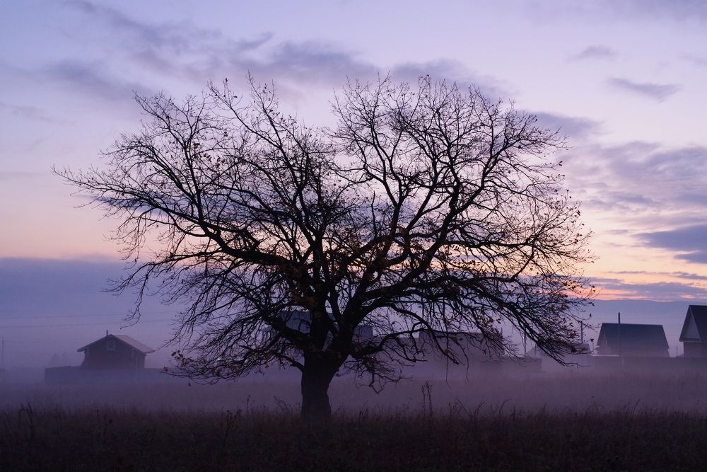 Малиновый рассвет