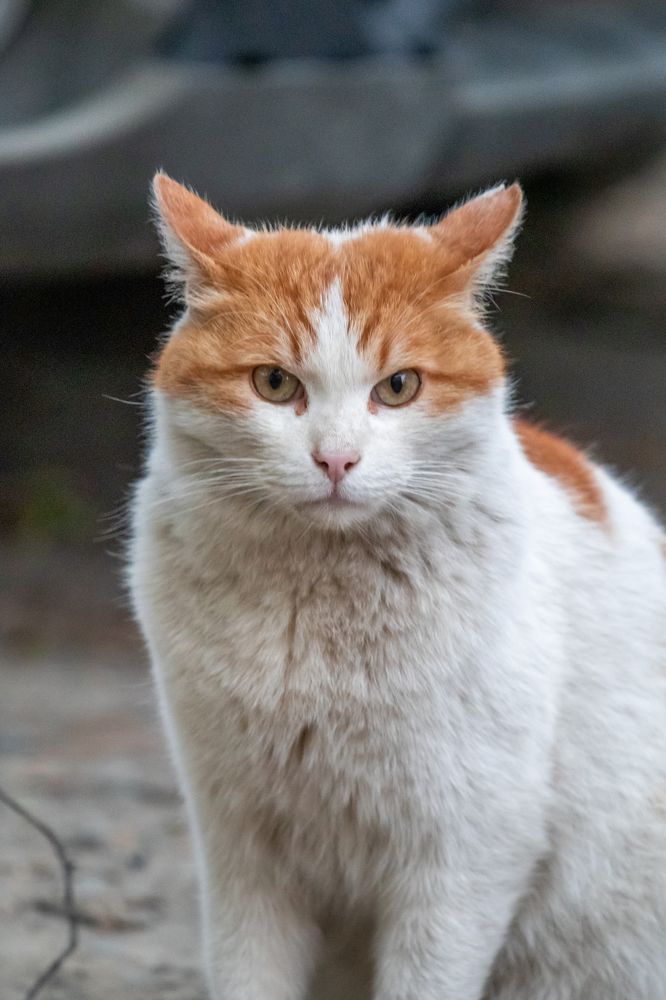 Photograph by Сергей Булышев