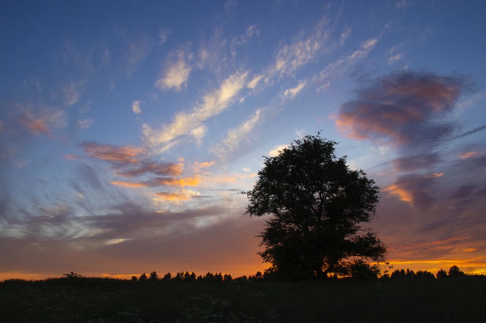 Photograph by Елена Коврижных