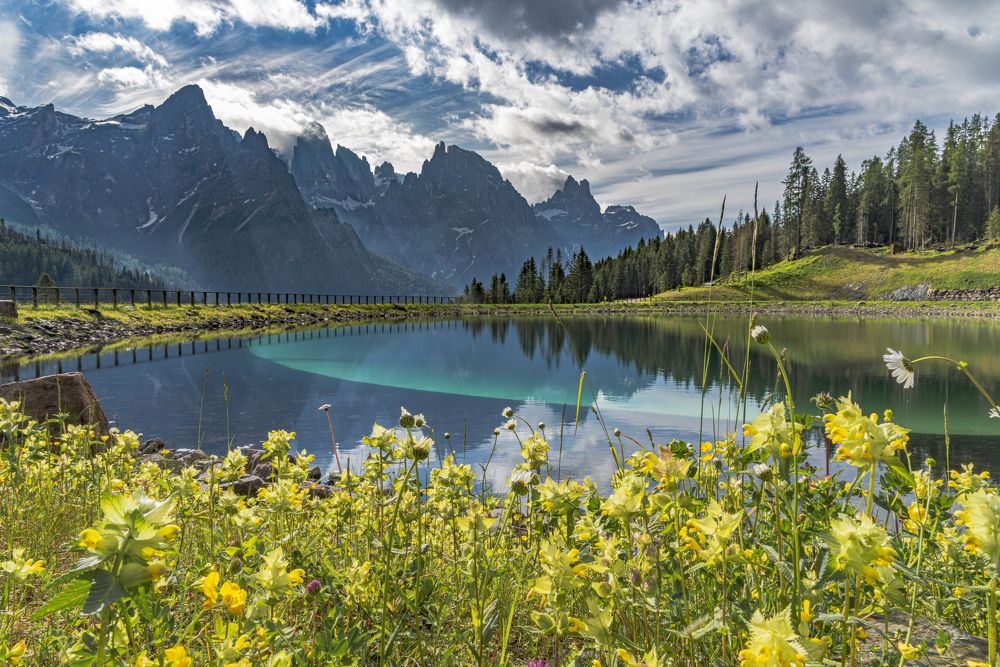 Фотография автора Paolo Barbarini