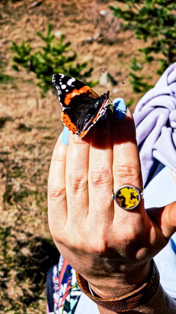 Фотография автора Всеволод Юрша