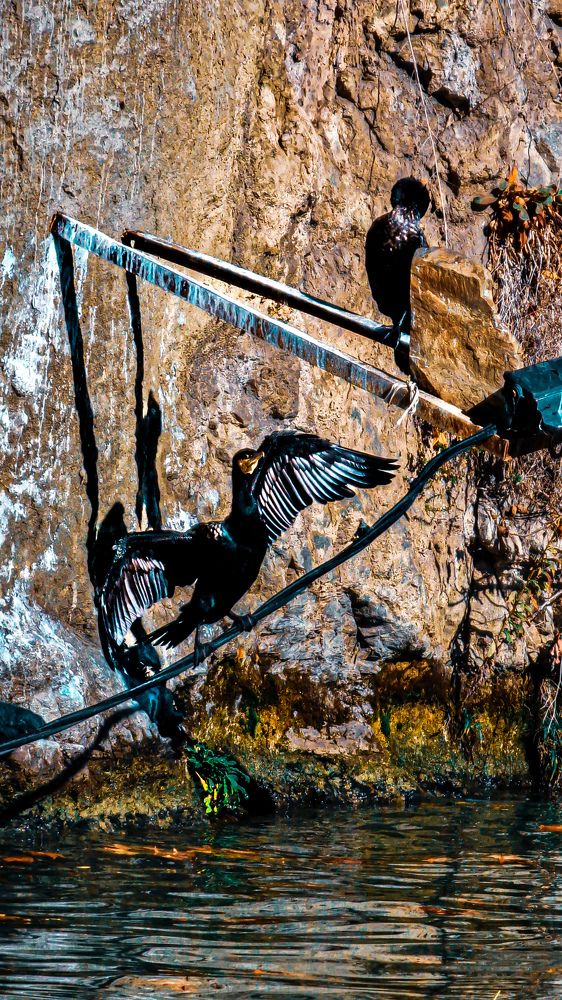 Фотография автора Всеволод Юрша