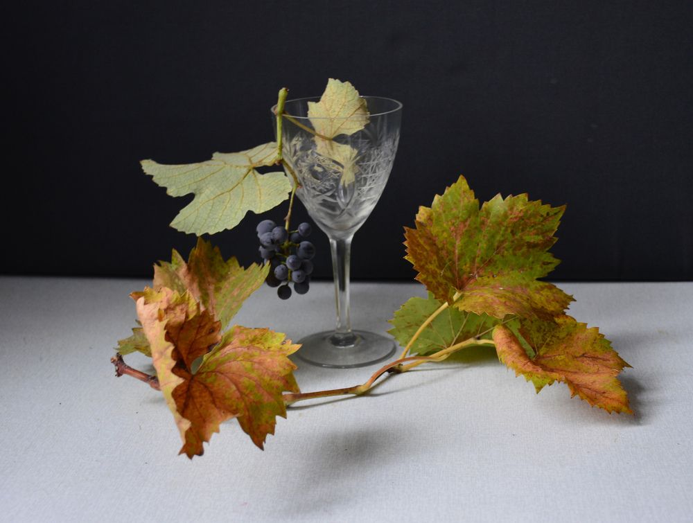 ОСЕННИЙ НАТЮРМОРТ