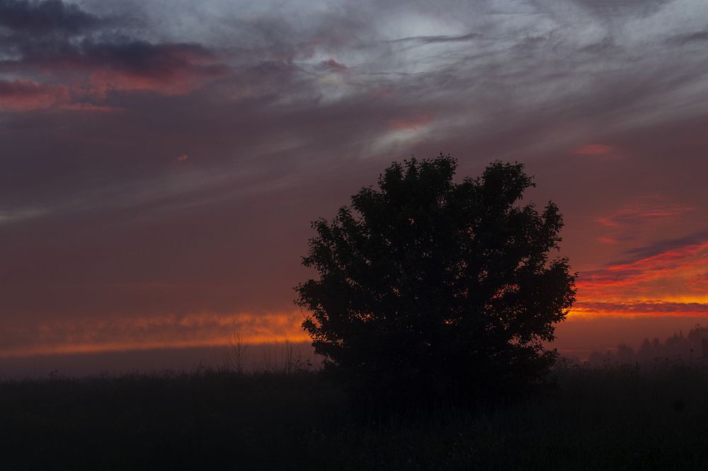 Photograph by Елена Коврижных