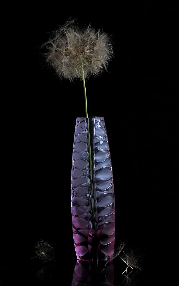 Photograph by Алексей Volg