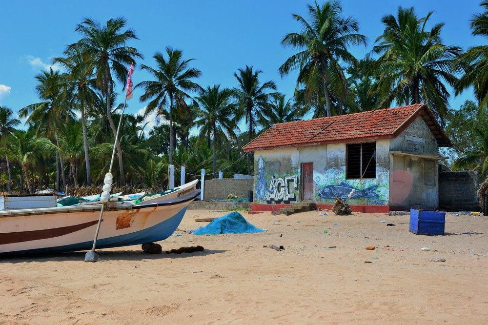 Photograph by Ольга Садохова