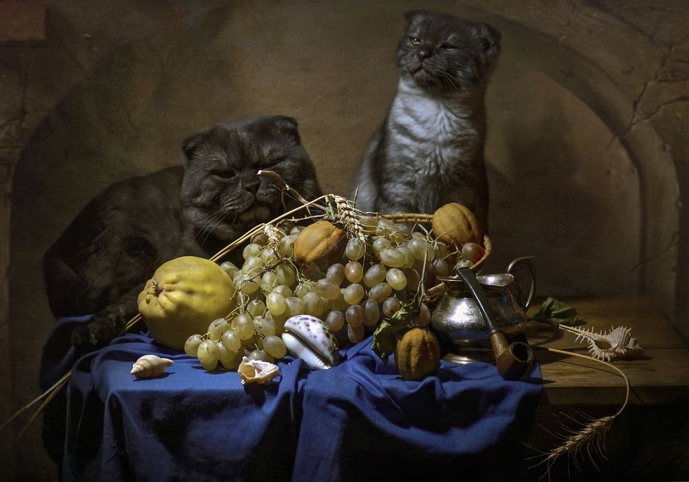 Photograph by Сушкевич Светлана