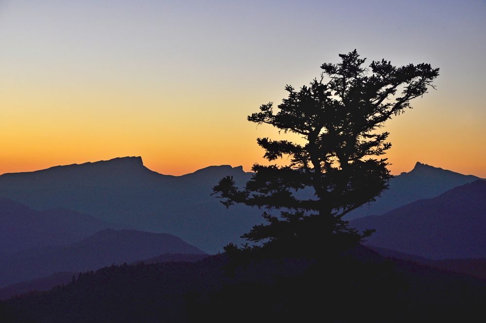 Photograph by Александр Глебов