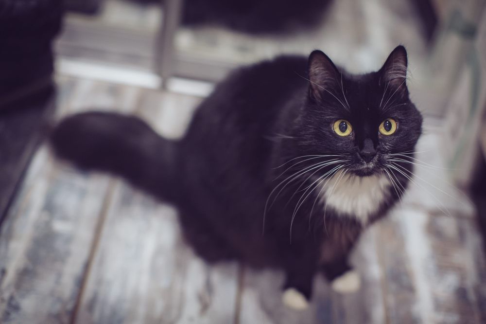 Photograph by Очева Наталья Александровна