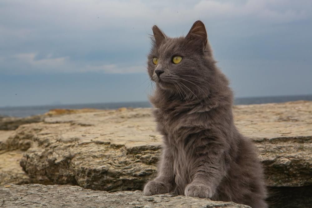 Photograph by Очева Наталья Александровна