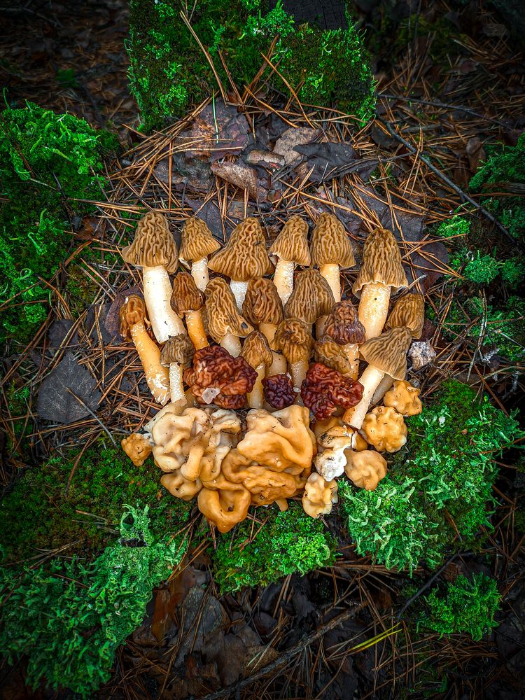 Photograph by Александр Хухлов