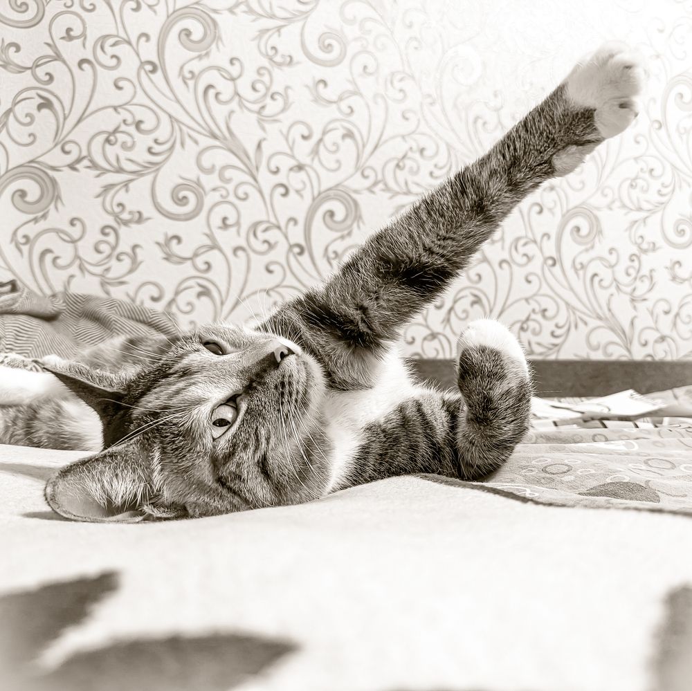 Фотография автора Александр Хухлов