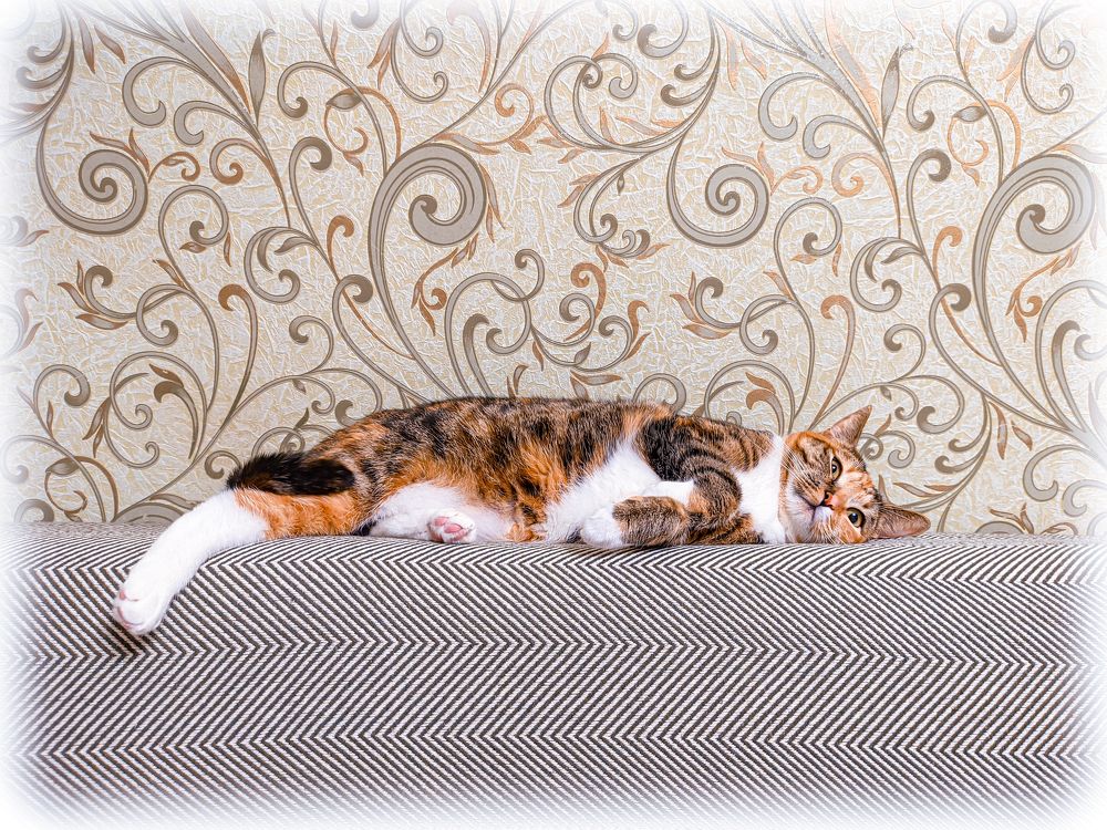 Фотография автора Александр Хухлов