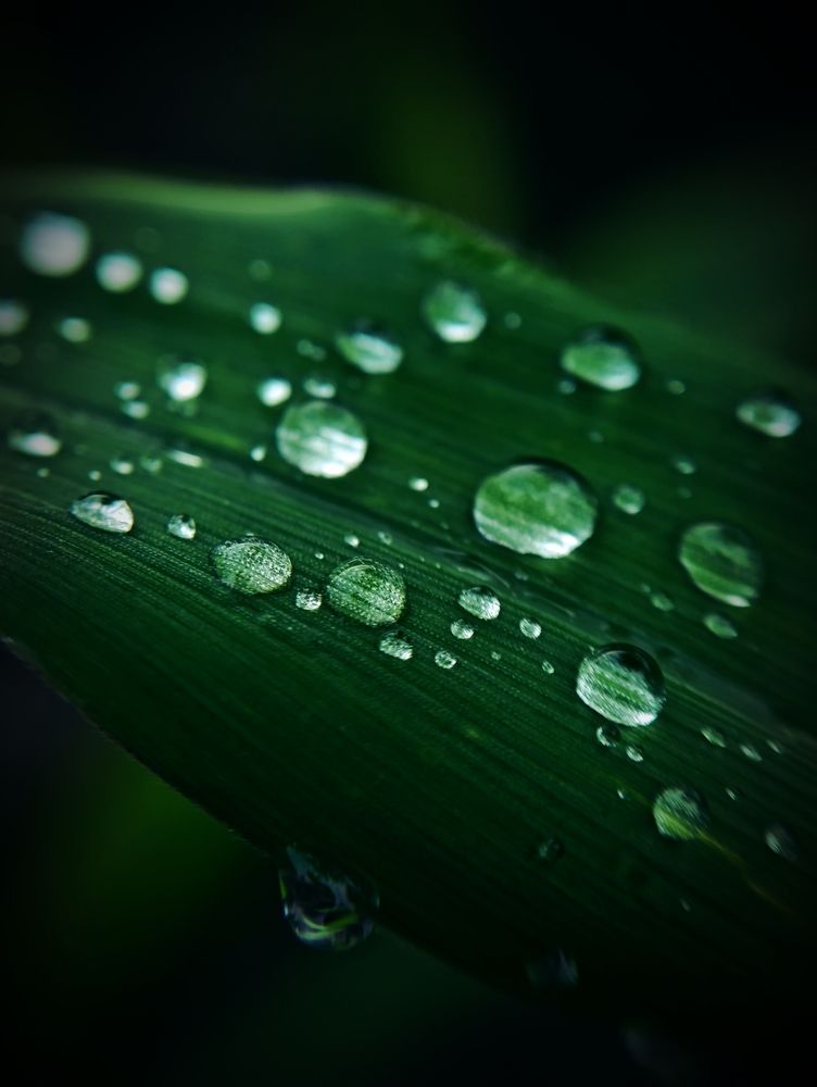 Photograph by Светлана Таркан