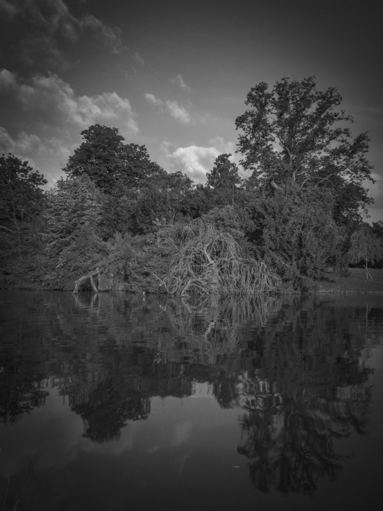 Photograph by Theo Castillon