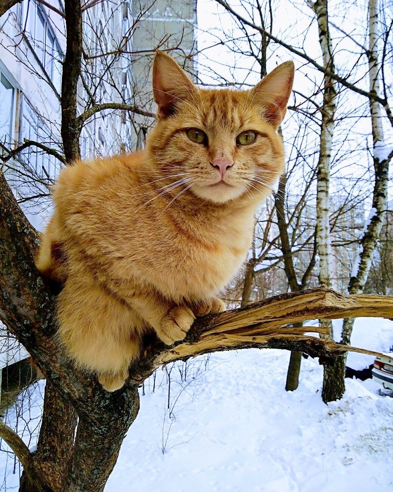 Photograph by Светлана Таркан