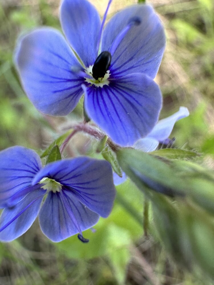 Photograph by Liubov