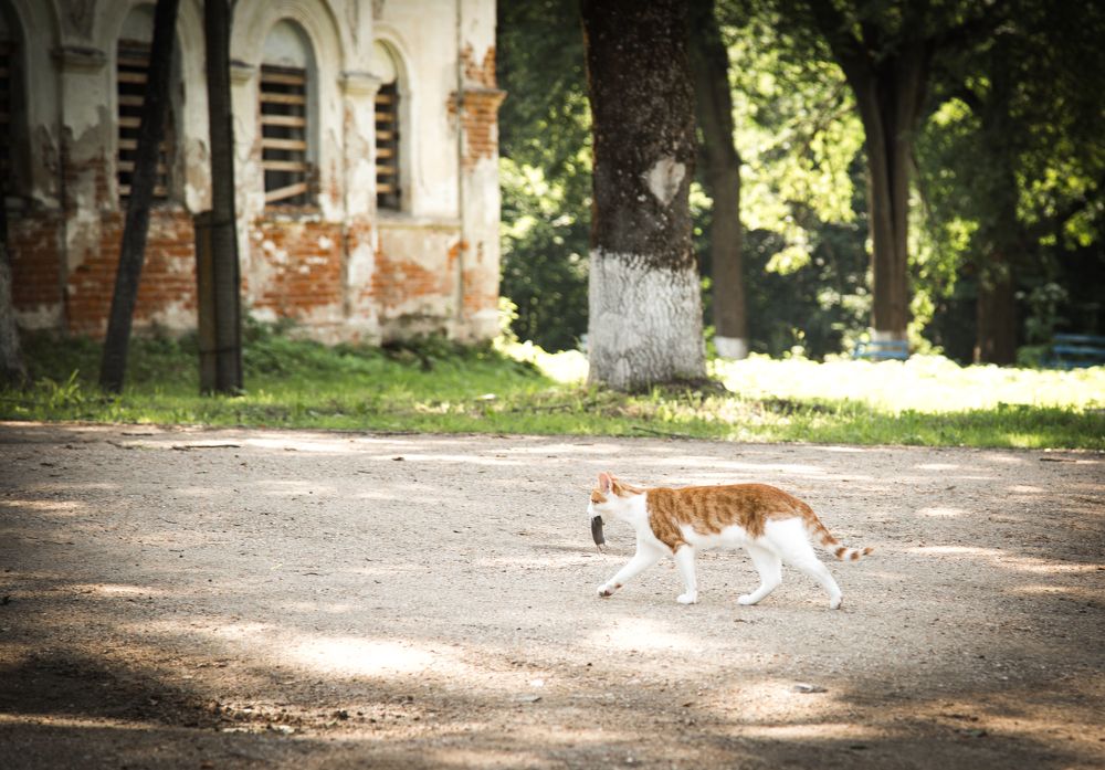 Photograph by Александр Ермоленко