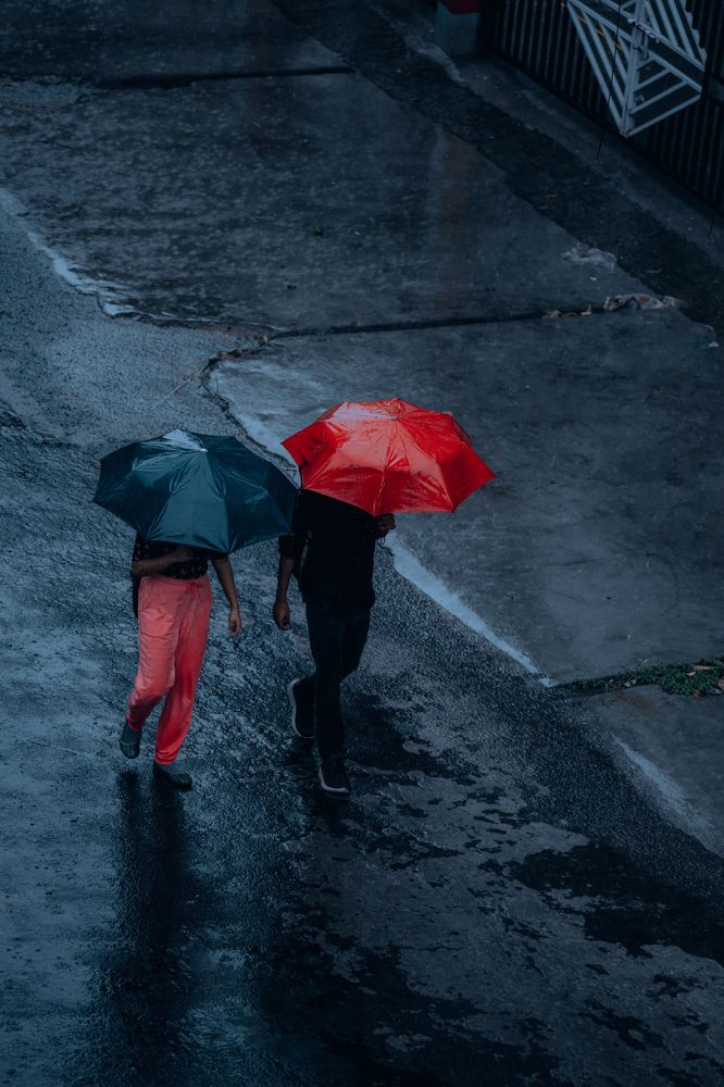 Photograph by SOUVIK PAL