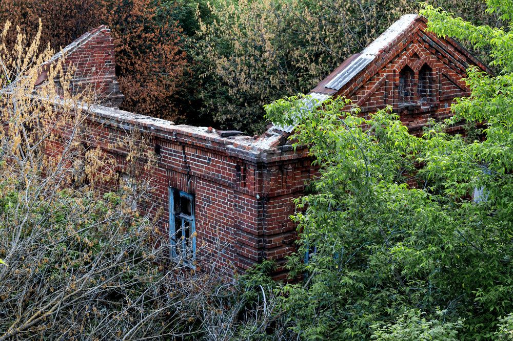 Photograph by Дмитрий Карасев