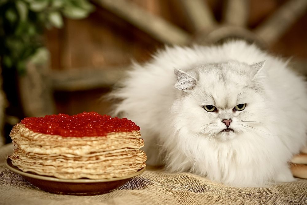 Photograph by Алла Чуракова