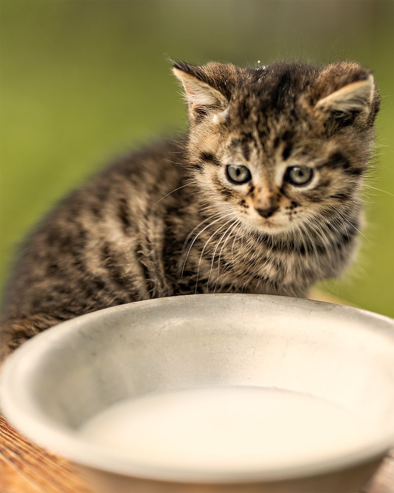 Photograph by Алла Чуракова