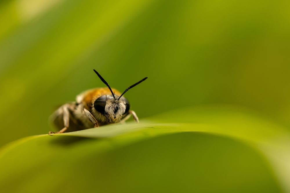 Photograph by Kamil Stępień