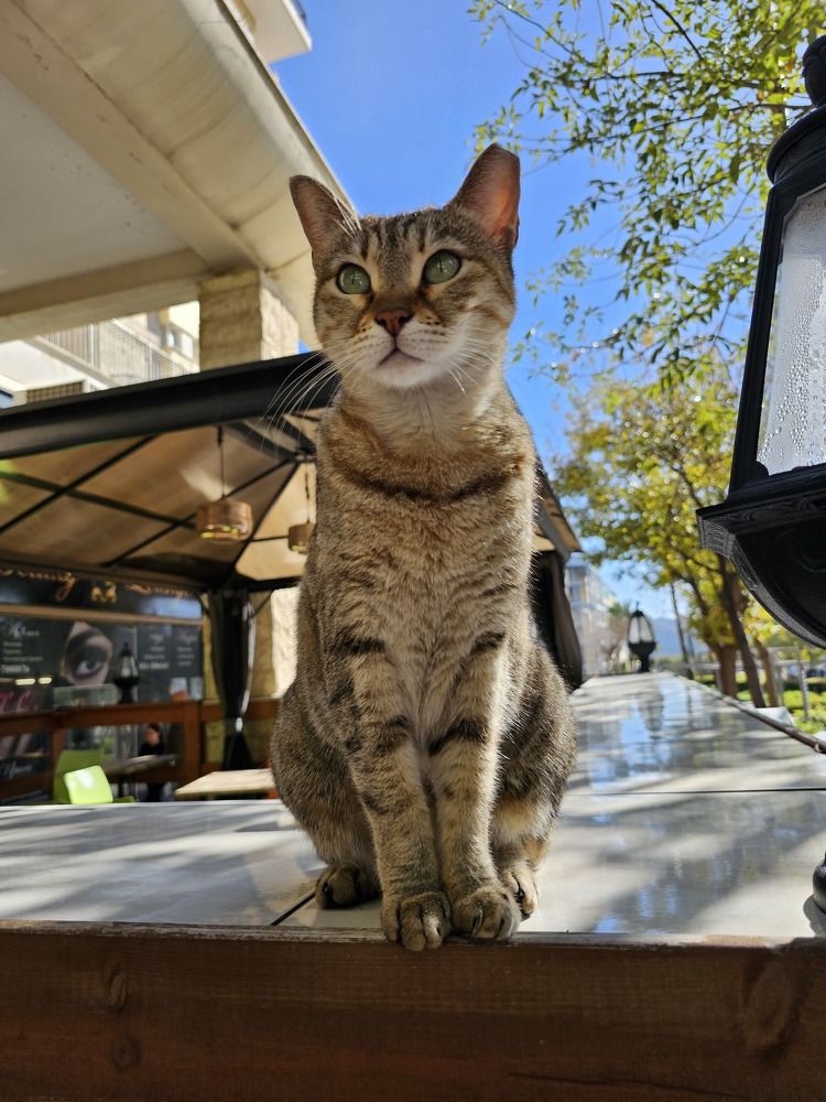 Фотография автора Oksana Podgorodetska