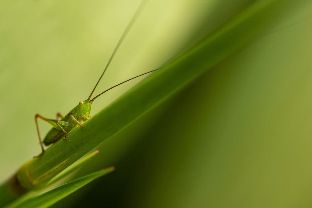 Photograph by Kamil Stępień