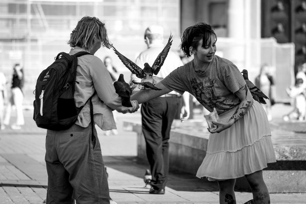 Photograph by Krzysztof Szulc