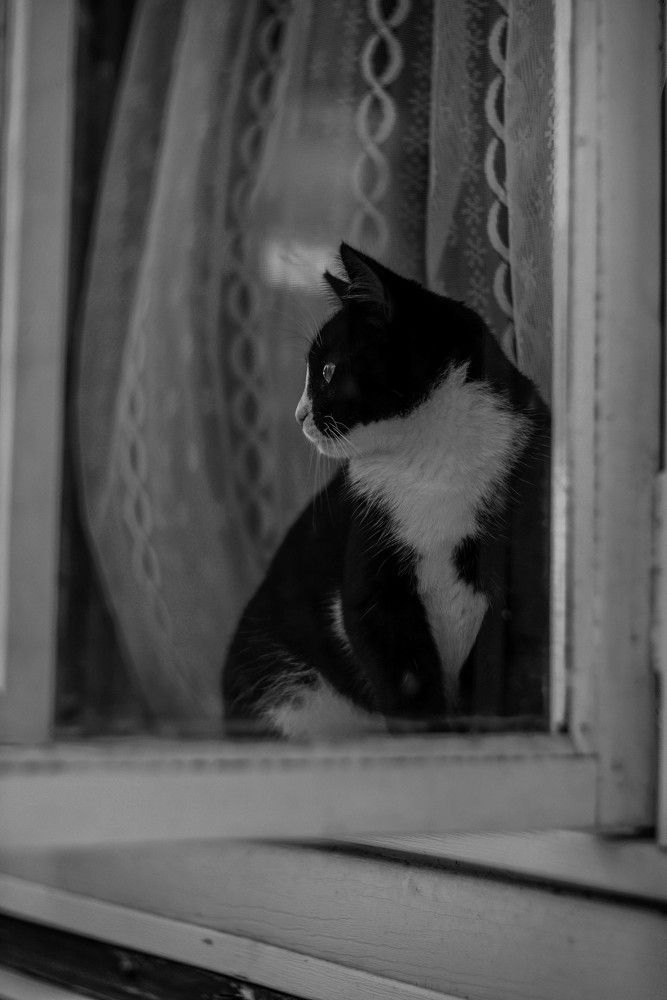 Photograph by Ольга Темкина