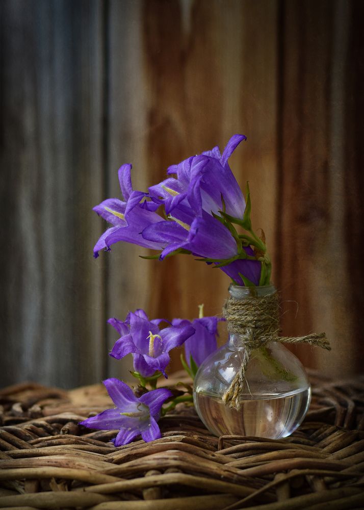 Фотография автора Оксана Льдинина