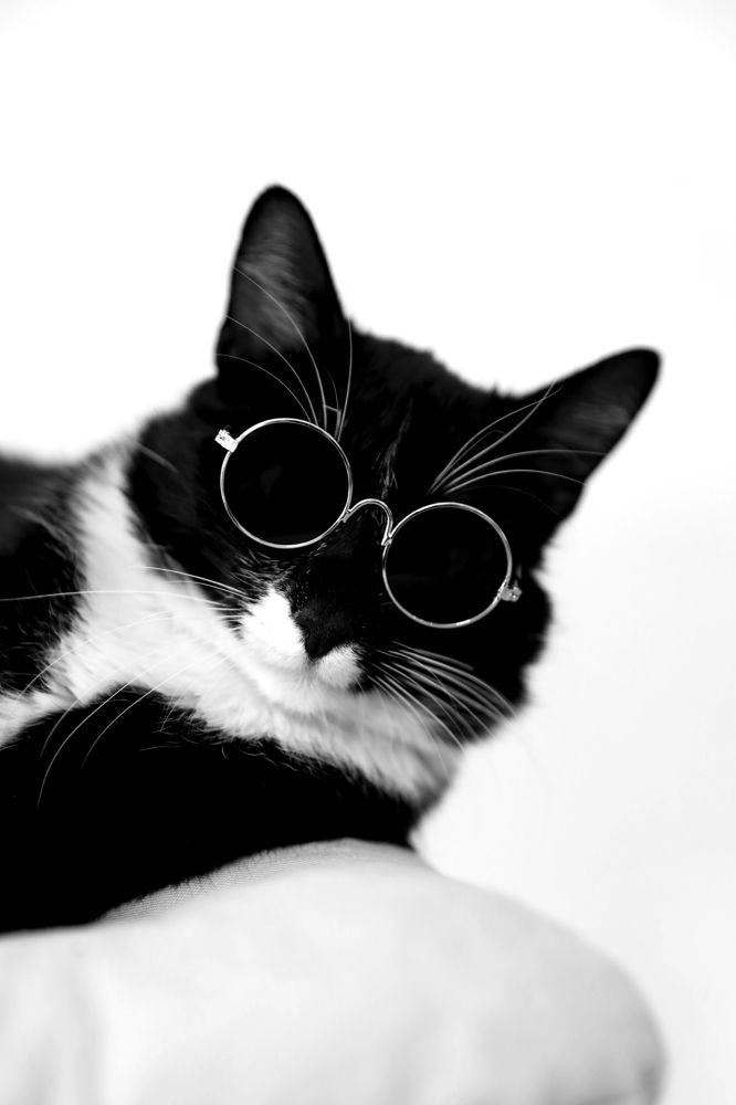 Photograph by Галина Фурсова