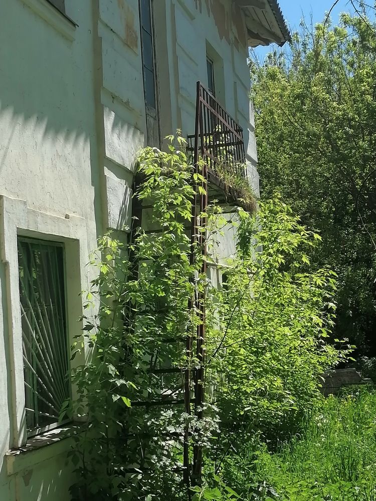 Photograph by Маргарита Бучикова