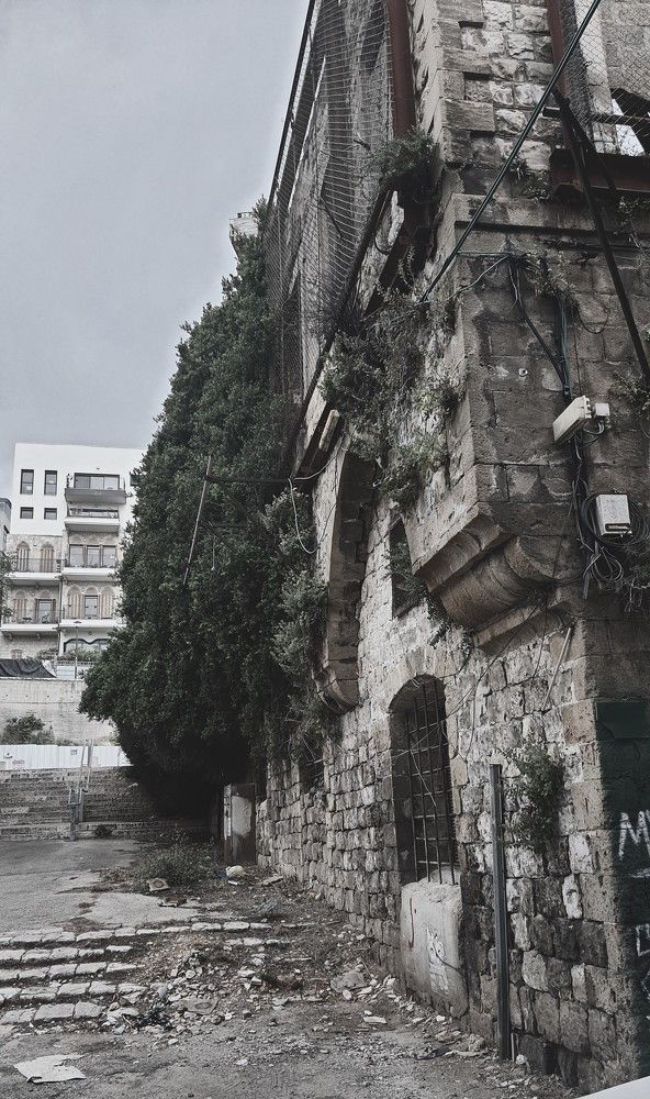 Photograph by Галина Горлицки