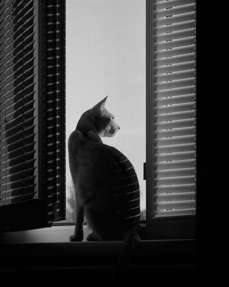 Photograph by Самосудов Рустам