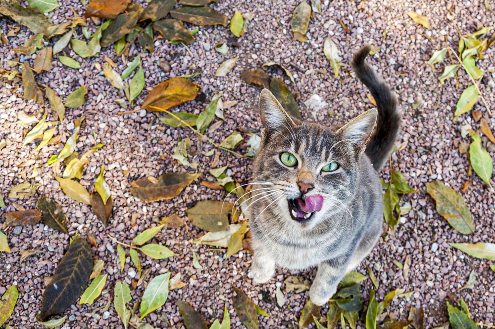 Photograph by Будаква Сергей