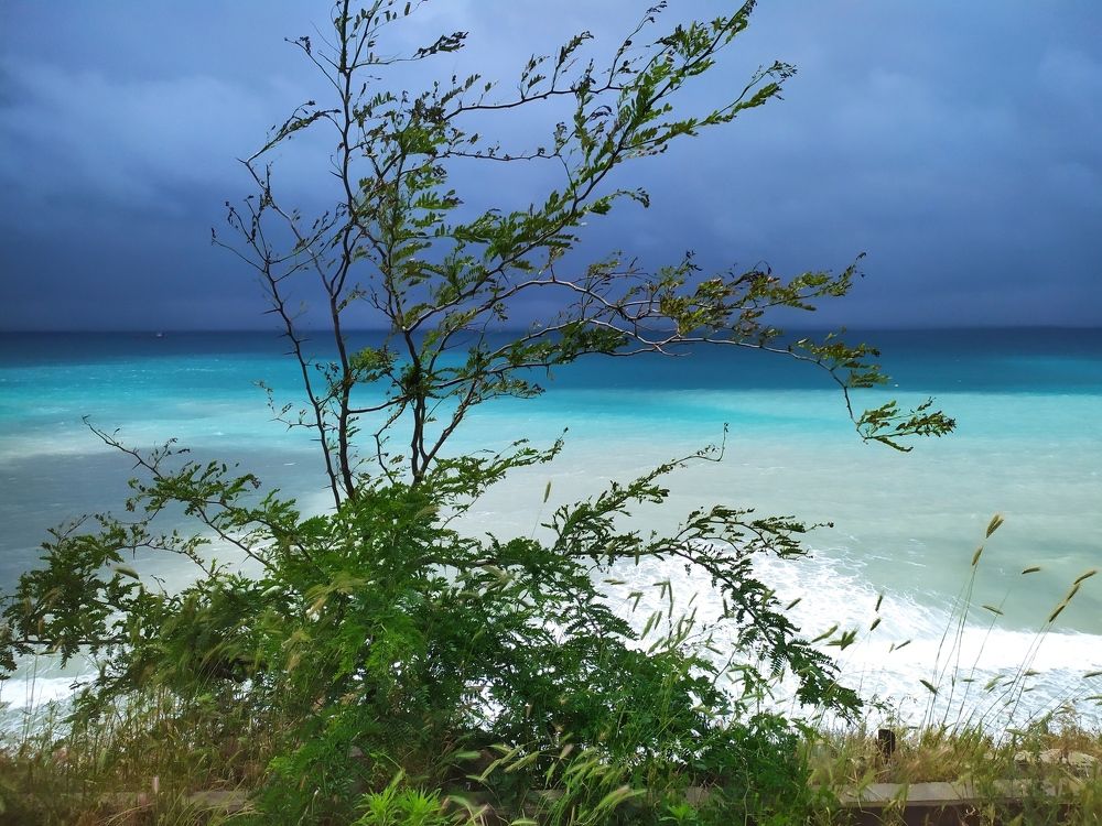 Photograph by Елена Смирнова