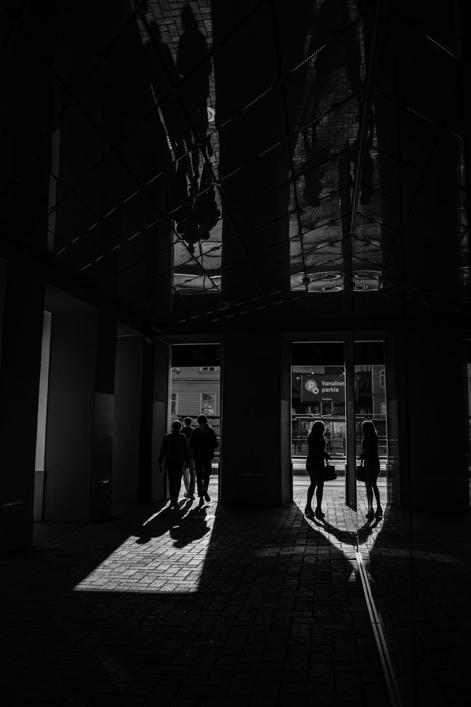 Photograph by Nikolay Surovtsev