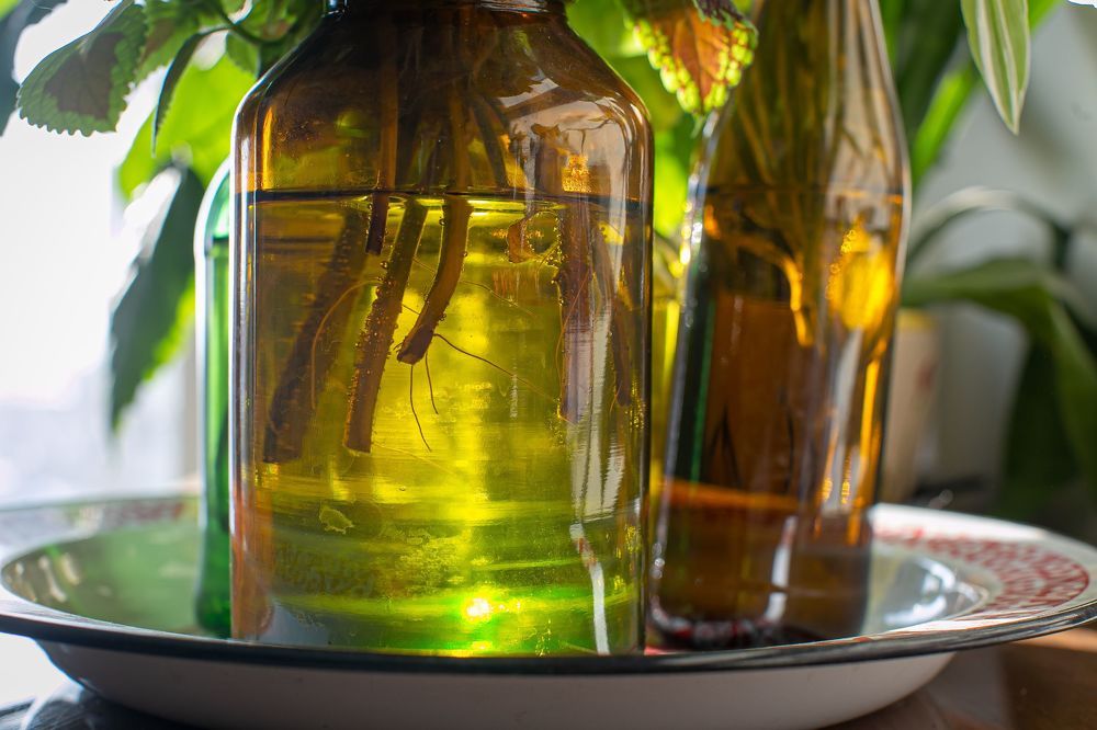 Photograph by Очева Наталья Александровна