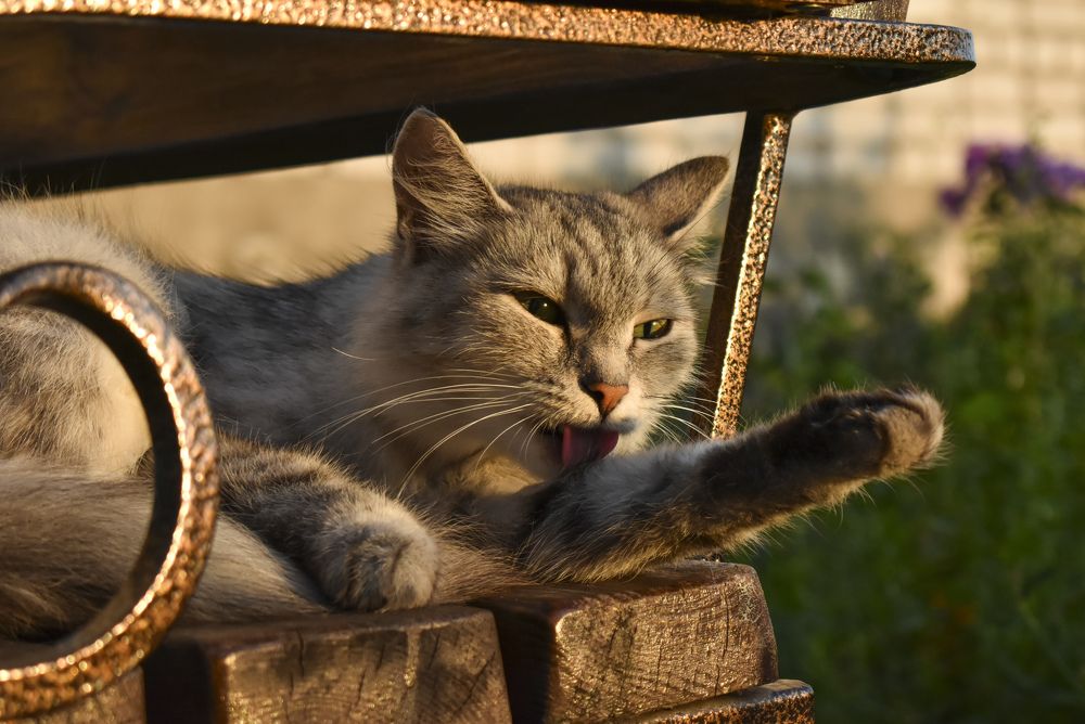 Photograph by Роман Пацкевич