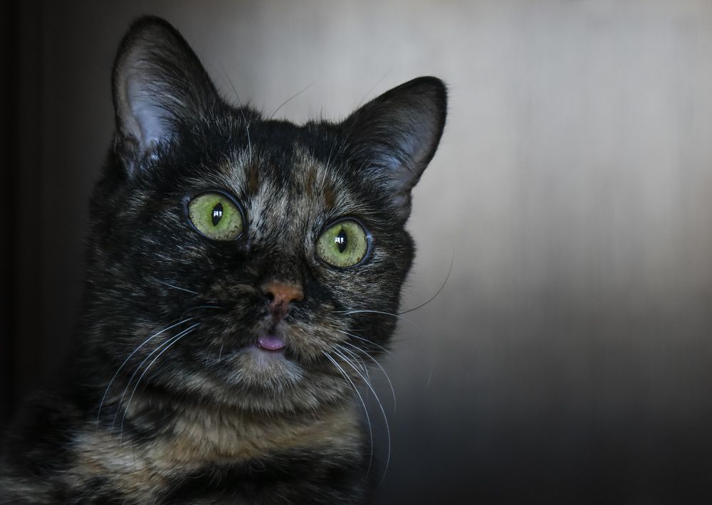 Photograph by Роман Пацкевич