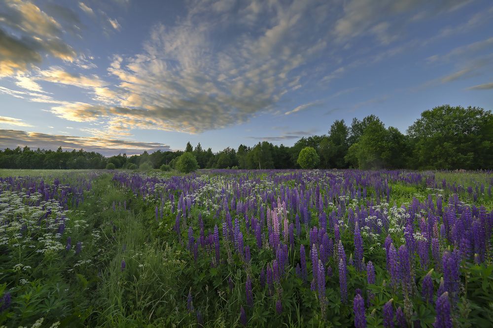 Фотография автора Галина