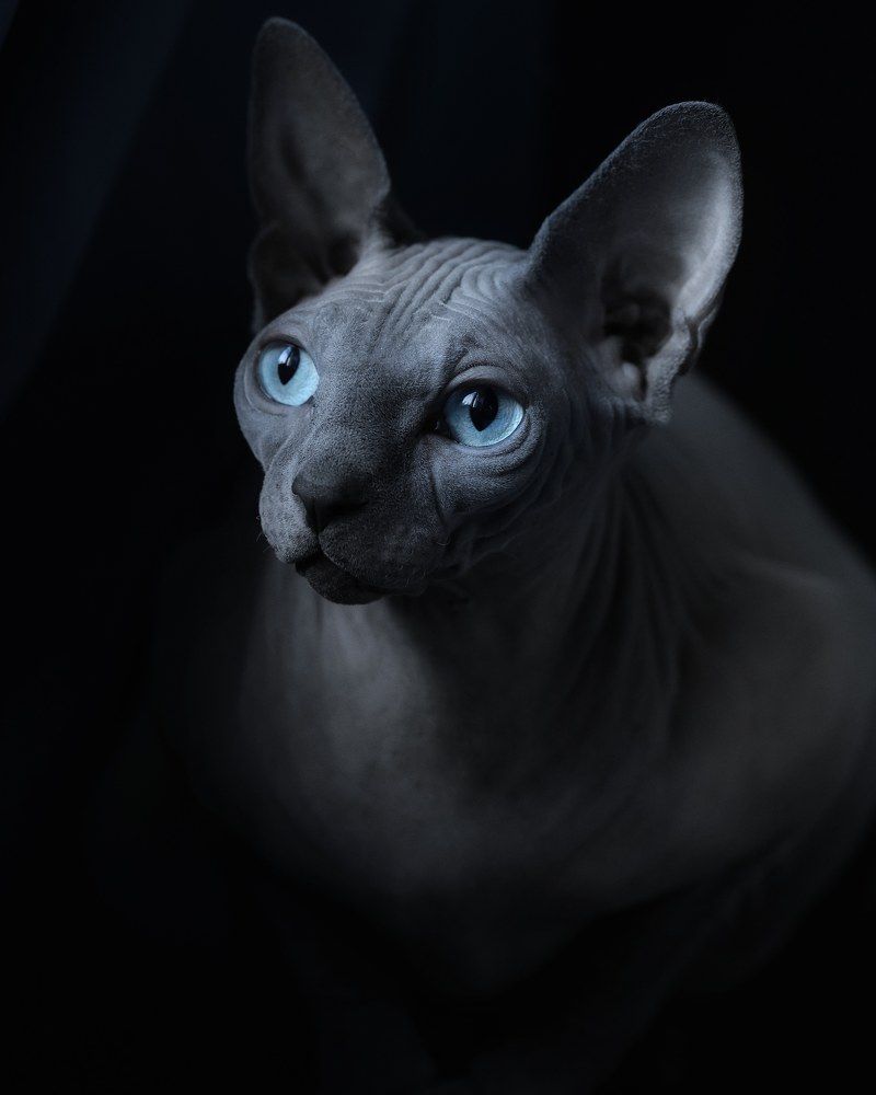 Photograph by Ирина Воробьева
