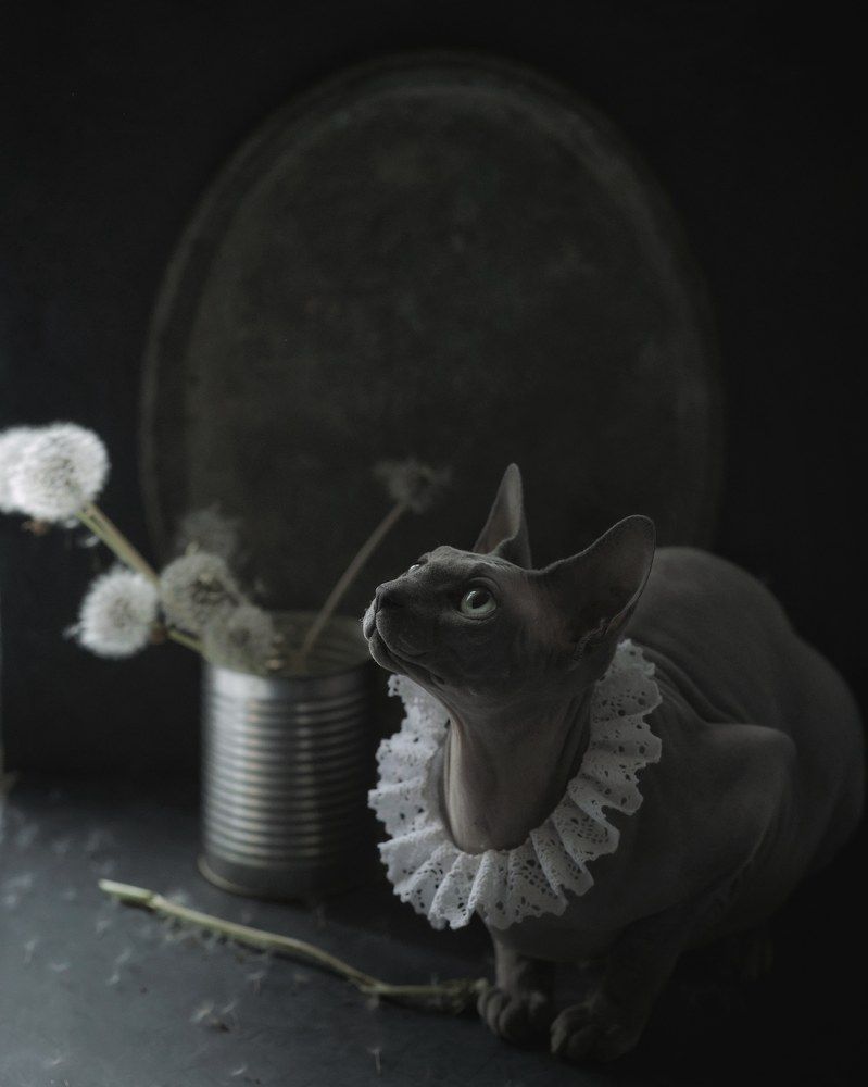 Photograph by Ирина Воробьева