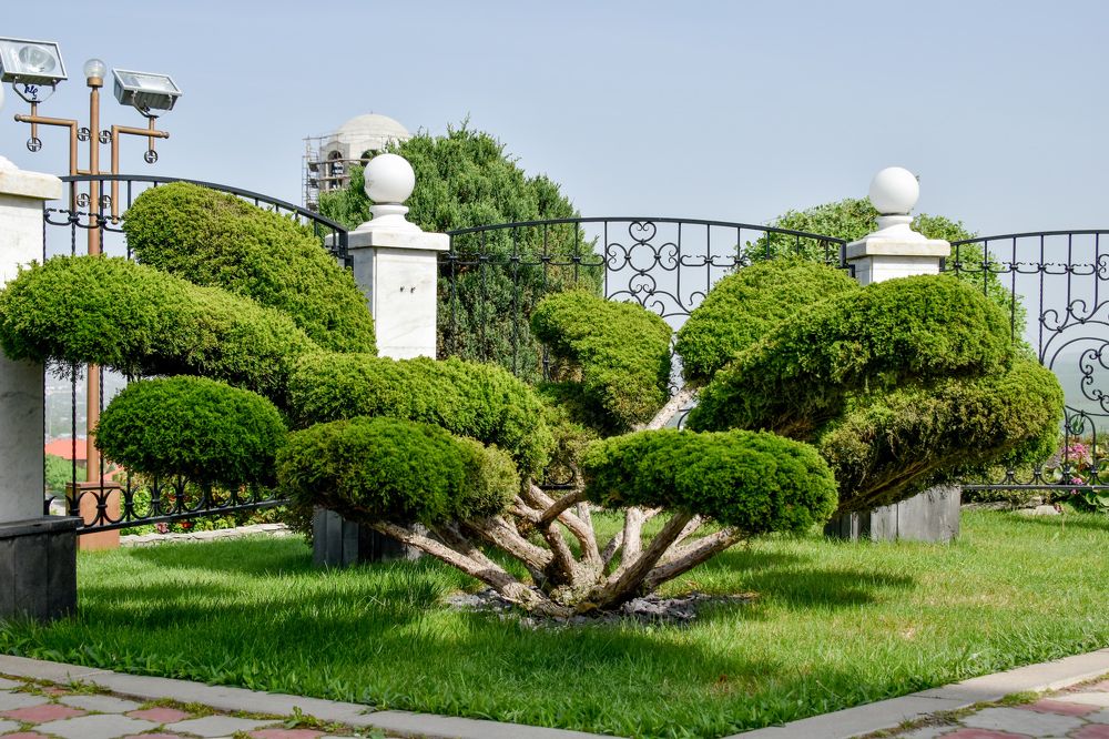 Photograph by Светлана Войта