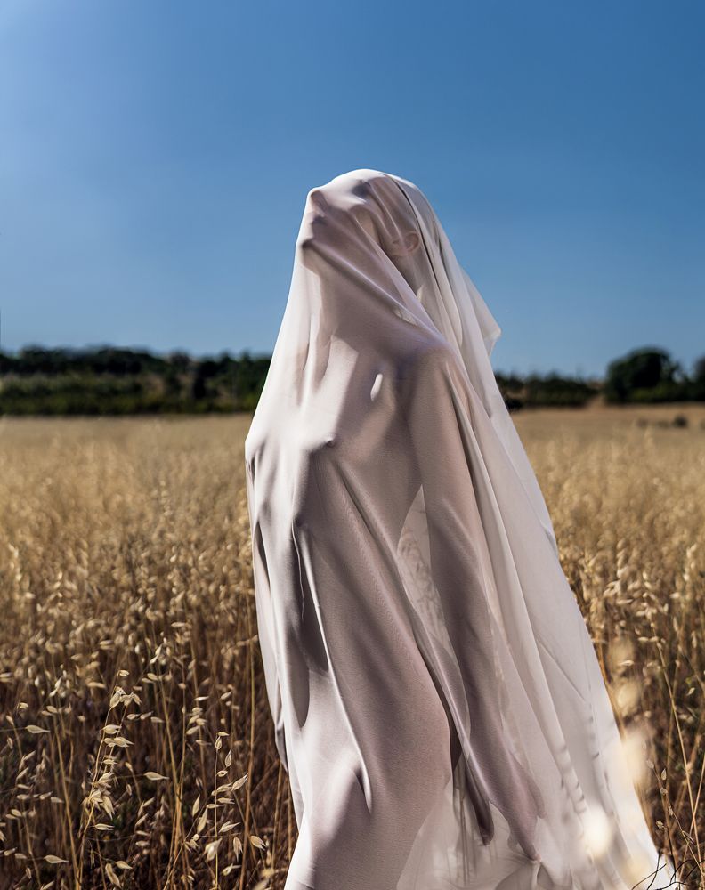 Photograph by Шпетный Анатолий